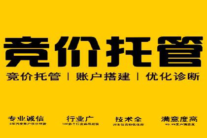 SEM竞价开户流程详解：成功案例解析